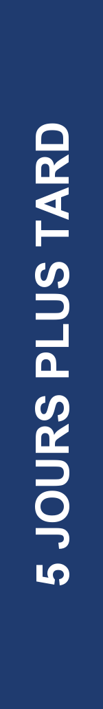 Électrogramme Boston Scientific CRT, segment 7/11 — Épisodes ventriculaires sur un CRT-P : qui les a déclenchés ?