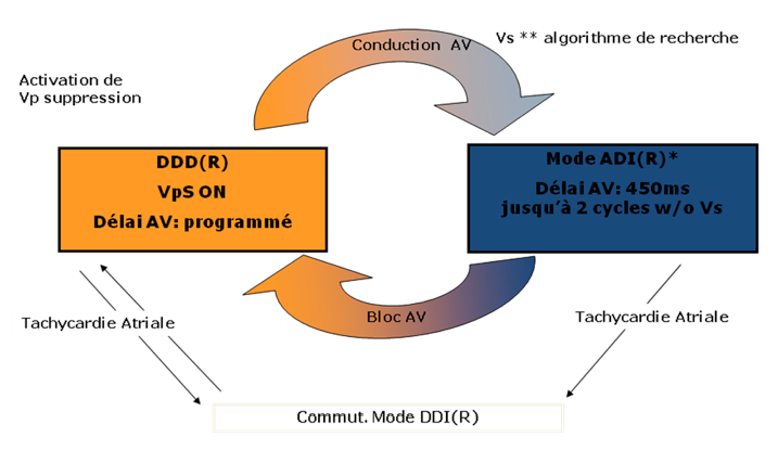 pm19_situation7.png