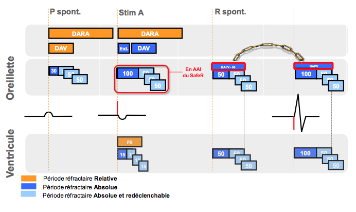 pm_19_situations_periodes_refractaires_v_2.png