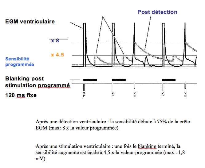 dai_20_cas_detection23.png